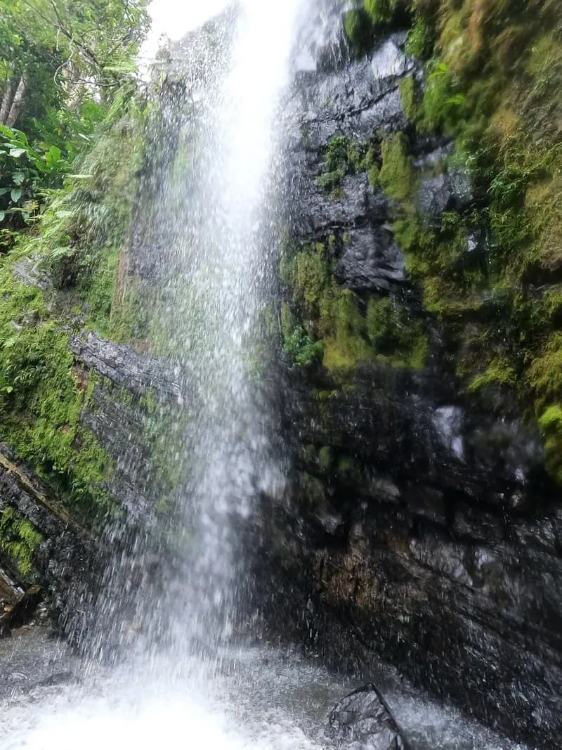 El Yunque Waterfall Climb